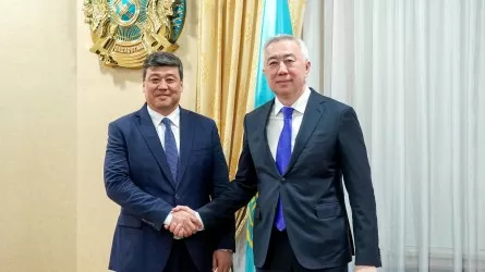 По "зеленому коридору" будет поступать в РК сельхозпродукция из Кыргызстана 