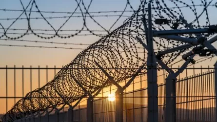 Обвинительный приговор вынесли насильнику малолетней девочки в области Абай 