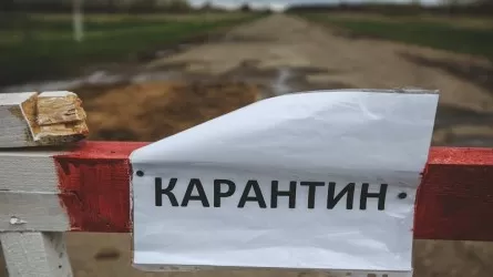 Жарма ауданында карантин жарияланды