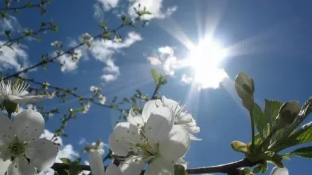 Бүгін Қазақстанның басым бөлігінде тұрақсыз күн райы сақталады