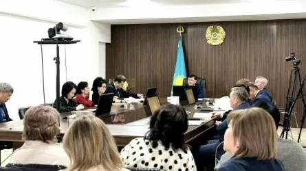 «Ана мен бала өлімі»: Денсаулық сақтау министрлігі Шудағы жүкті әйелдің қайтыс болу фактісі бойынша тексеруді бастады