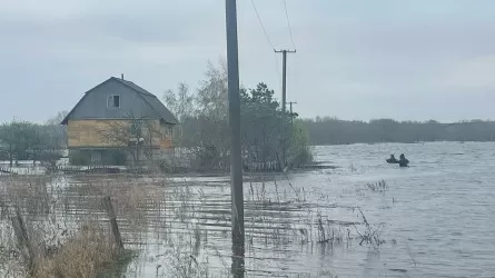 Уровень воды в реке Есиль в Петропавловске стабилизировался, но угроза сохраняется 