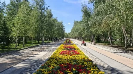 Озеленение по-новому: в Костанае запретят кронирование