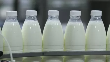 Қарағандыда әкімдіктің кесірінен тұралап тұрған зауыт қайта іске қосылды