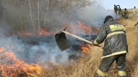 Қарағанды облысында тоғай өртенді