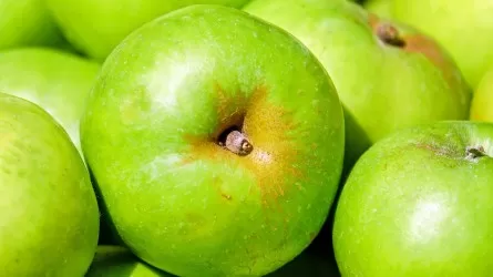 Какие фрукты и овощи лидируют в рационе казахстанцев: вкусная статистика  