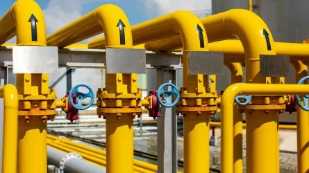 Елімізде сұйытылған газды экспорттауға шектеу мерзімі ұзарады