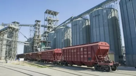 Куда и сколько экспортирует зерно Казахстан 