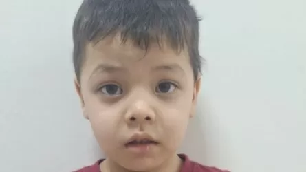 «Үйде 8 бала бар»: Павлодарда көшеде жалғыз жүрген 5 жасар баланың ата-анасы жауапқа тартылады