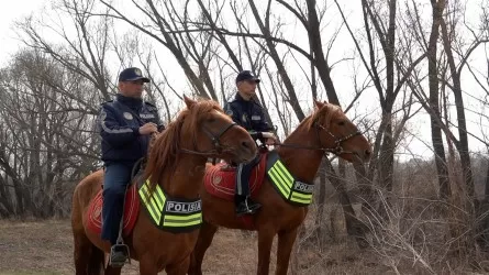 Павлодардағы саяжайларды ат үстіндегі полиция қорғайды 