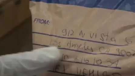 АҚШ-тан пошта арқылы есірткі жеткізбек болған қазақстандық 16 жылға сотталып кетті