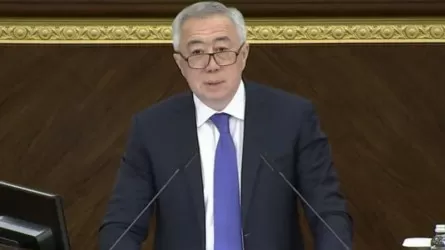 Государство будет отслеживать эффективность налоговых льгот - Жумангарин