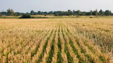 Ұлытау облысында 90 мың гектар жер мемлекет меншігіне қайтарылды