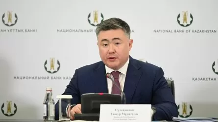 Тимур Сүлейменов девальвация қаупі туралы: Дүрбелеңге ешқандай себеп жоқ