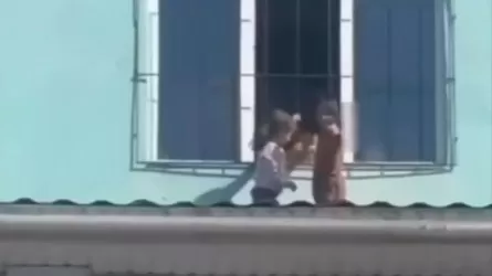 Алматы облысында қараусыз қалған балалар балабақшаның шатырына шыққан