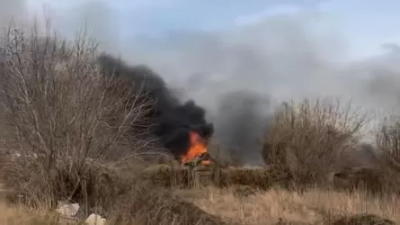 Павлодарда саяжайлардың аумағында өрт шықты