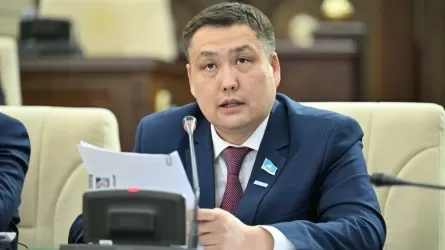 Өзіміздің ғарышкерлерді дайындайтын бағдарлама әзірлеу керек – депутат