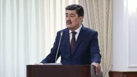 Министр орманды әуеден күзетуге қаржы жетпейтінін айтып, Үкімет басшысынан көмек сұрады