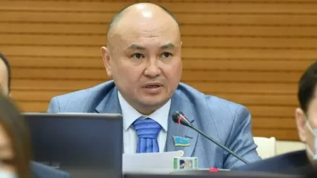 «Қоғамға өте қауіпті шөп»: Депутат техникалық қарасора туралы