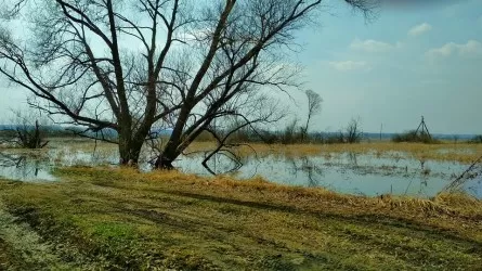 Какой объем паводковых вод приняли водохранилища Казахстана  