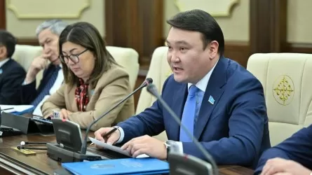 Мәжіліс депутаты ойыны қанбаған ойсыздардың іс-әрекетін оңдырмай сынады