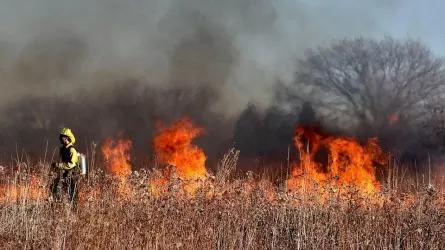 Более 200 человек борются с огнем в ВКО 