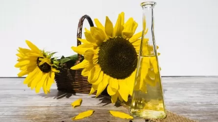 Кто сделает ставку на масличные культуры