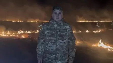 Пожарные Павлодарской области не пустили огонь на территорию лесфонда 