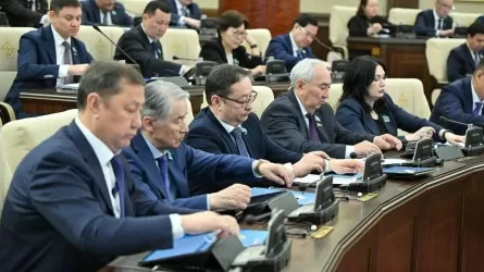 Депутаттар тағы бір іске ашулы 