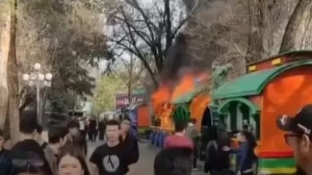 Алматыдағы Орталық демалыс саябағында өрт шықты  