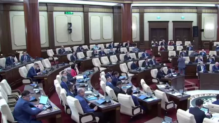Ставка НДС определена в размере 16%