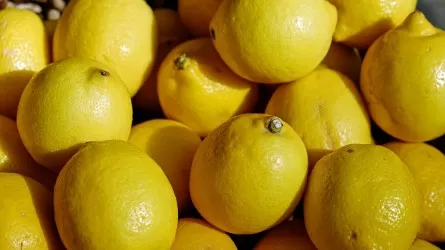 Какие продукты лучше всего очищают кровь