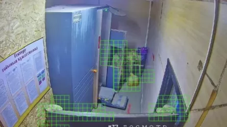 Абақтыға тыйым салынған заттарды алып кірмек болған келіншек ұсталды