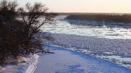 Вода из Сырдарьи спасет урожай в 2025 году: сколько получит Казахстан