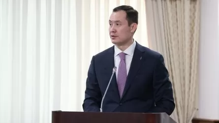 Премьер-министрге QazaqGaz басшысының баяндамасы ұнамай қалды