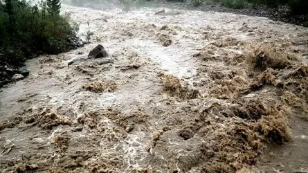 Селевым потоком снесло мосты и автомобили в Кыргызстане  