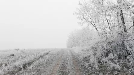 Еліміздің бірқатар өңірінде үсік жүреді