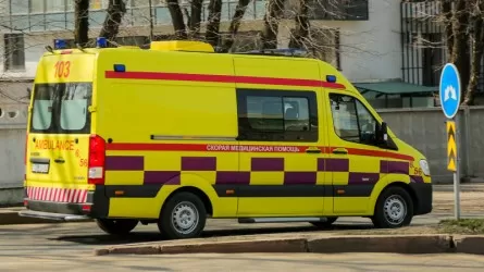 Меркі ауданында газдан уланған үш бала көз жұмды