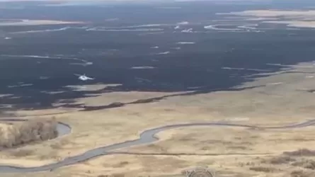 Возгорание камыша и сухой травы потушили в ВКО 