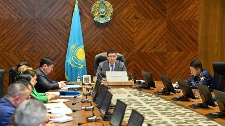 «Семей орманы» табиғи резерватында өрт сөндіретін станциялар талапқа сай емес