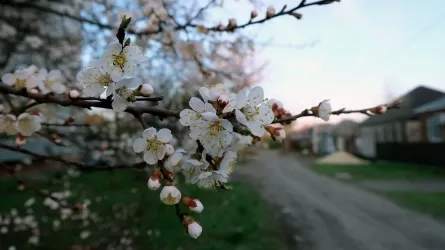 23 апреля: какие праздники отмечаются в Казахстане и в мире 