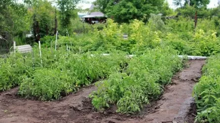 Для повышения безопасности в дачных массивах началась установка камер видеонаблюдения