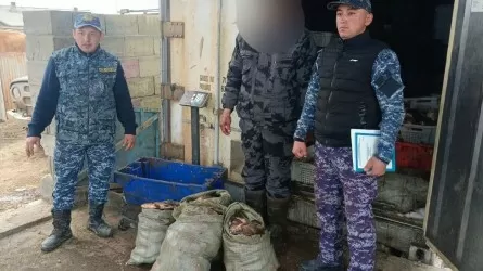 Больше сотни килограммов рыбы выловил из озера Зайсан браконьер в области Абай 
