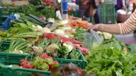 Ярмарка в Астане: овощи, мясо и молочка по ценам фермеров 