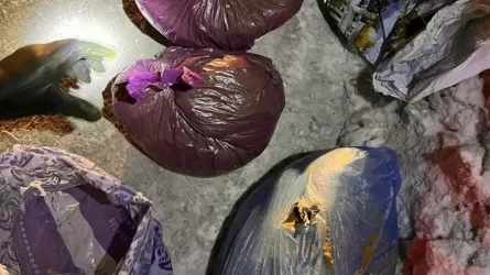 Қарағанды, Астана және Ақтөбе қалаларына есірткі жеткізуді ұйымдастырушылар сотталды