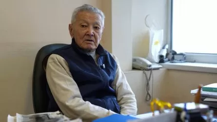Бұрынғы министр Кіші Аралды сақтаудың жолын көрсетті
