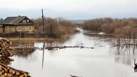 Паводок-2025: Вода со всех сторон подобралась к селу Прибрежное в СКО 