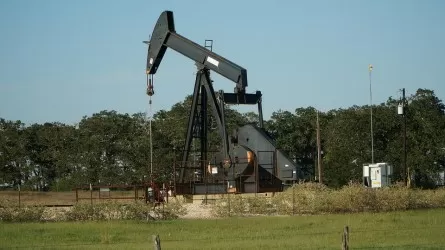 Назван уровень добычи нефти ОПЕК+, планируемый в апреле  