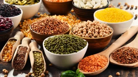 Какие сельхозкультуры из Казахстана планирует покупать Китай