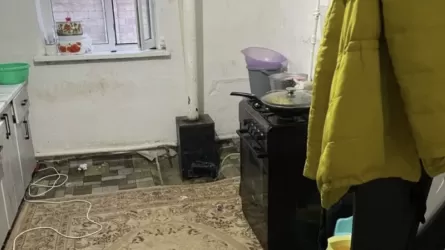 Жамбыл облысындағы 3 баланың өліміне қатысты нақты себептер айтылды